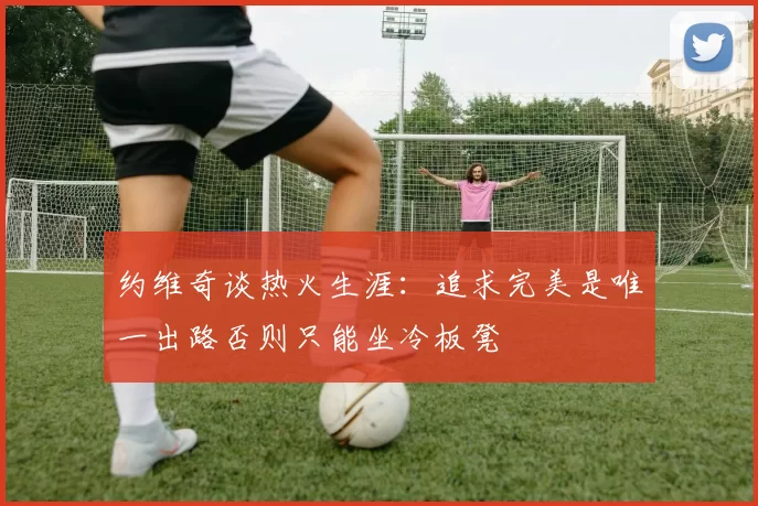 约维奇谈热火生涯：追求完美是唯一出路否则只能坐冷板凳