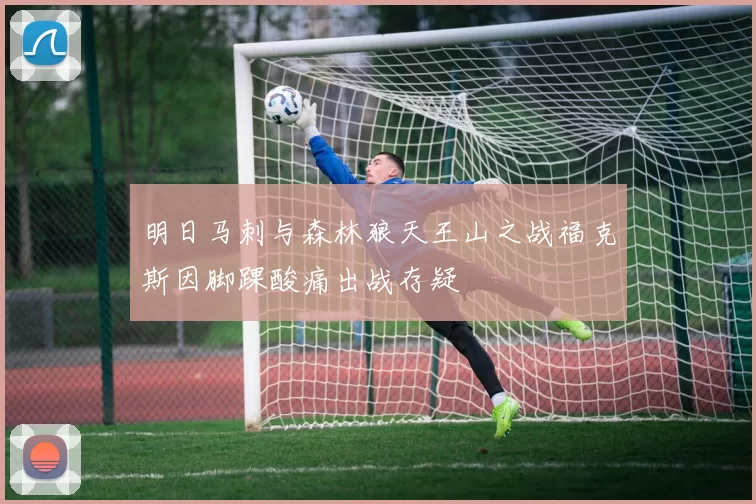 明日马刺与森林狼天王山之战福克斯因脚踝酸痛出战存疑