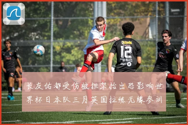 长友佑都受伤被担架抬出恐影响世界杯日本队三月英国拉练无缘参训